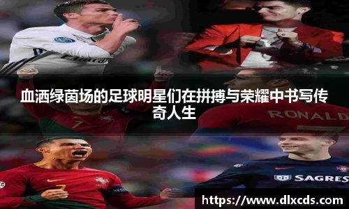 血洒绿茵场的足球明星们在拼搏与荣耀中书写传奇人生